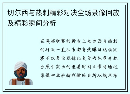 切尔西与热刺精彩对决全场录像回放及精彩瞬间分析