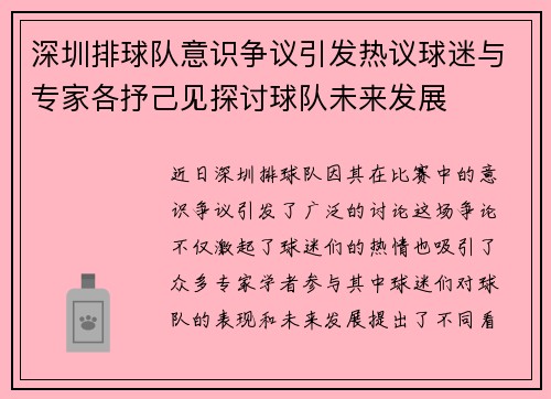 深圳排球队意识争议引发热议球迷与专家各抒己见探讨球队未来发展