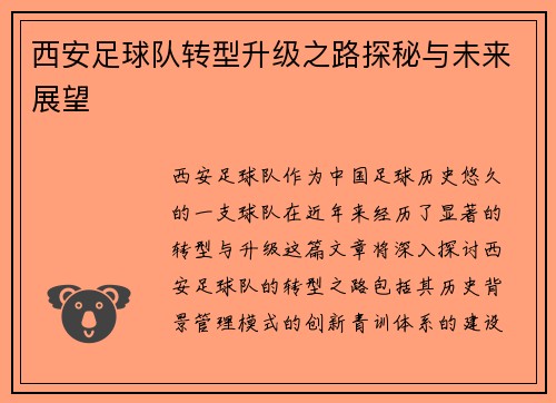 西安足球队转型升级之路探秘与未来展望